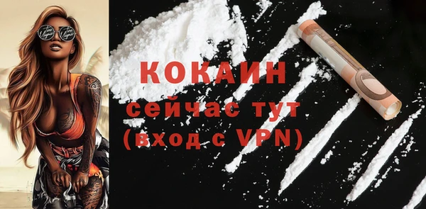 стаф Ростов