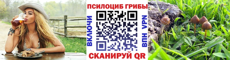 Псилоцибиновые грибы Psilocybe  где продают   Нязепетровск 